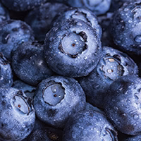 blueberries