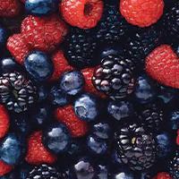 organic-fruit-extracts-silver-shine_30128715-7113-4314-8905-63df4020a697